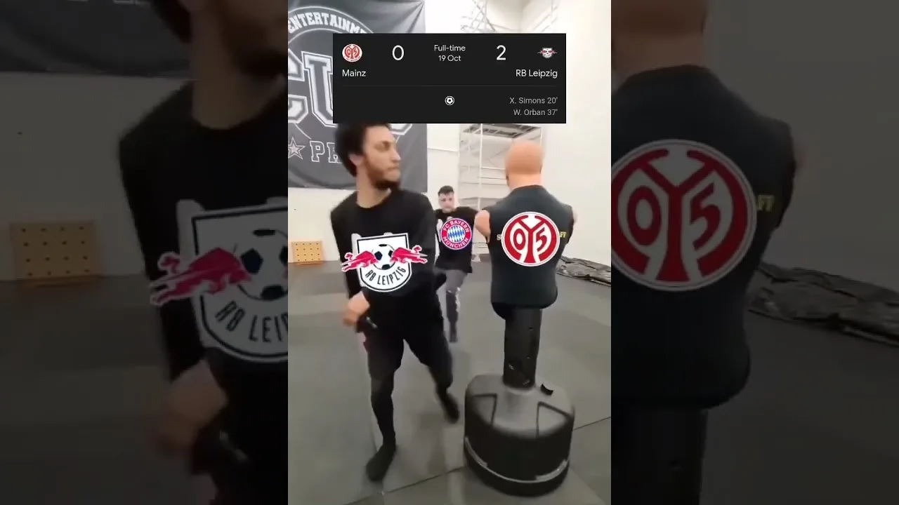 Mayence à domicile en Bundesliga :