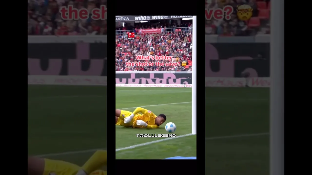 Wth was that Save 💀🤯 #shorts #viralvideo #bundesliga #save
