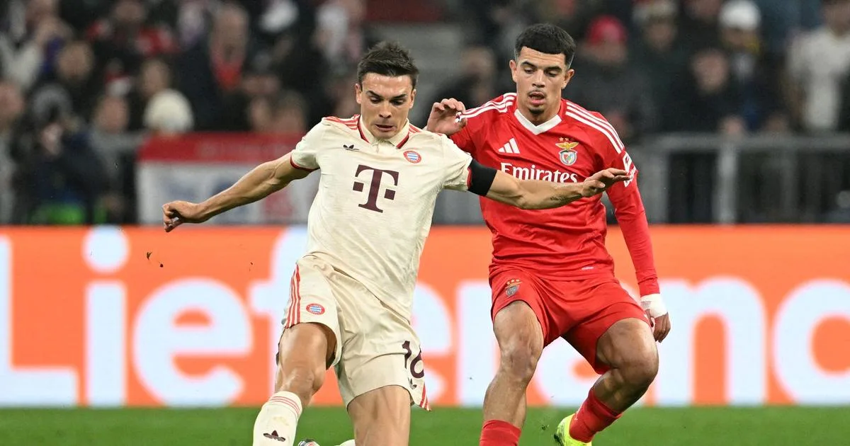 le Portugais Palhinha absent plusieurs semaines