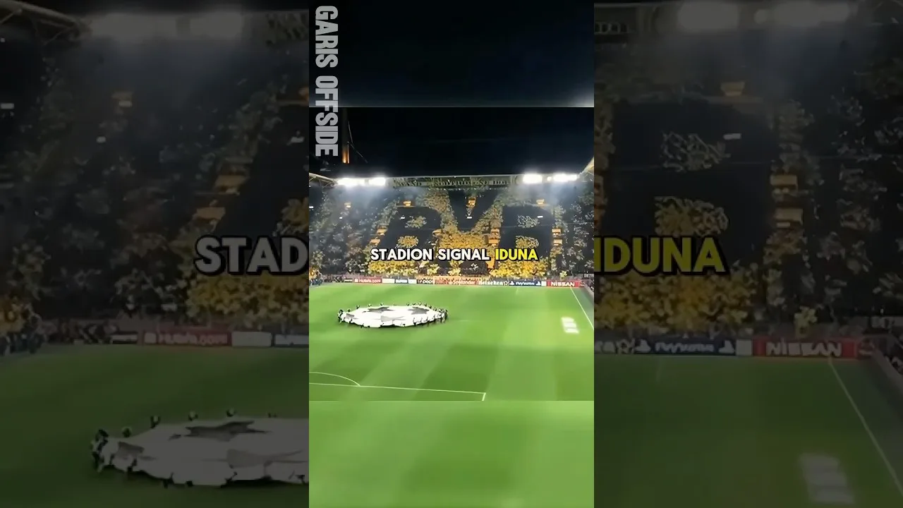 Suporter dortmund dengan kreativitas nya #dortmund #dortmundfans #bundesliga #football #tifosi