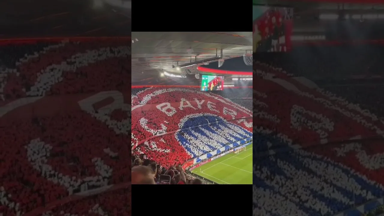Koreografi FC Bayernmunchen vs Leverkusen #bayerleverkusen #bayern #bayernmunich #koreografer #fyp