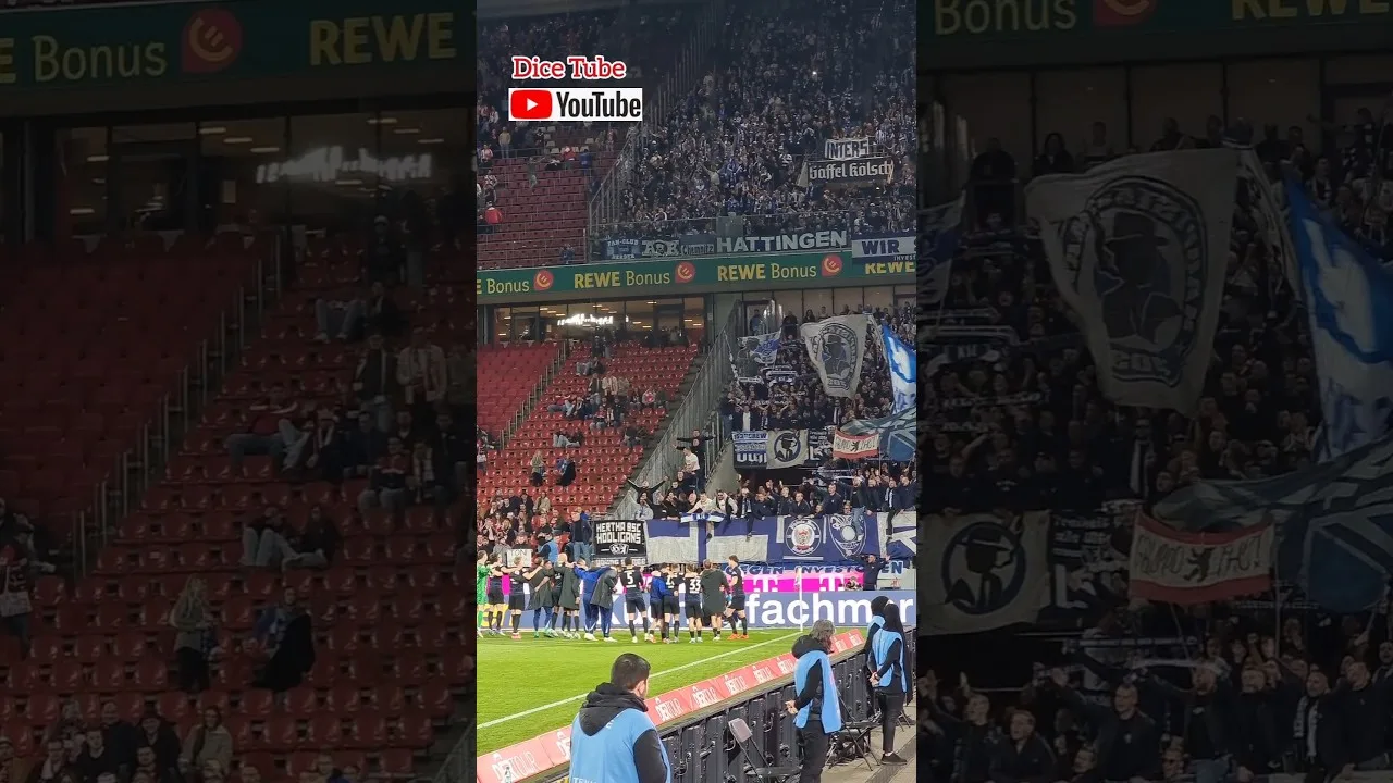Nichts ist schlimmer, als den Gegner feiern zu sehen #1fcköln #hertha #berlin #bundesliga #Spieltag