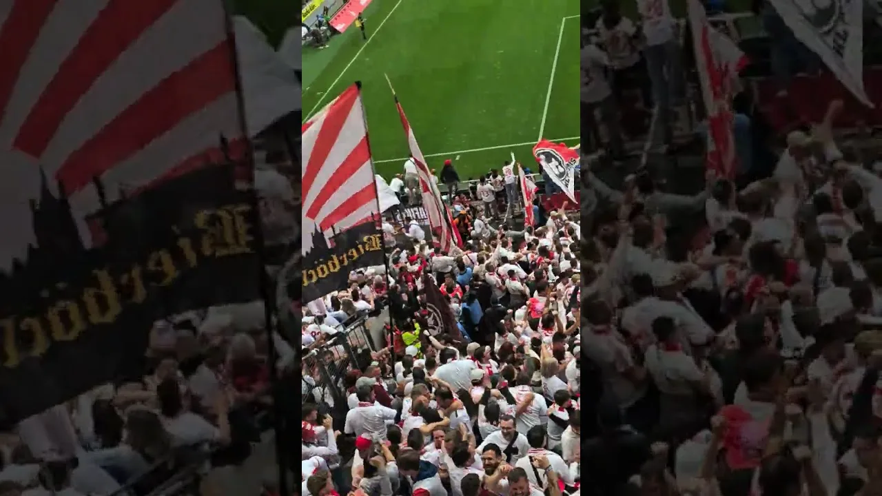 Eine Erlösung für den 1.FC Köln 🔴⚪️ #bundesliga #effzeh #ultras #fussball