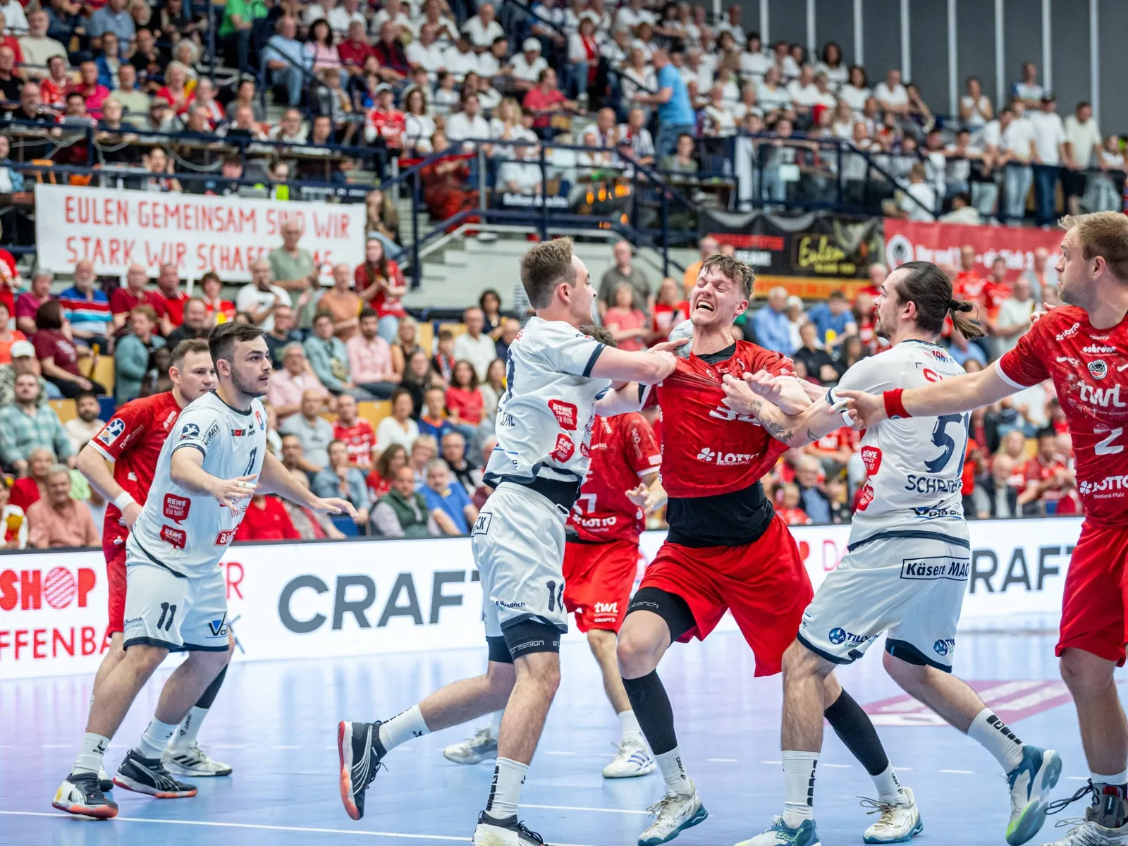 2. Handball Bundesliga: promu et relégué