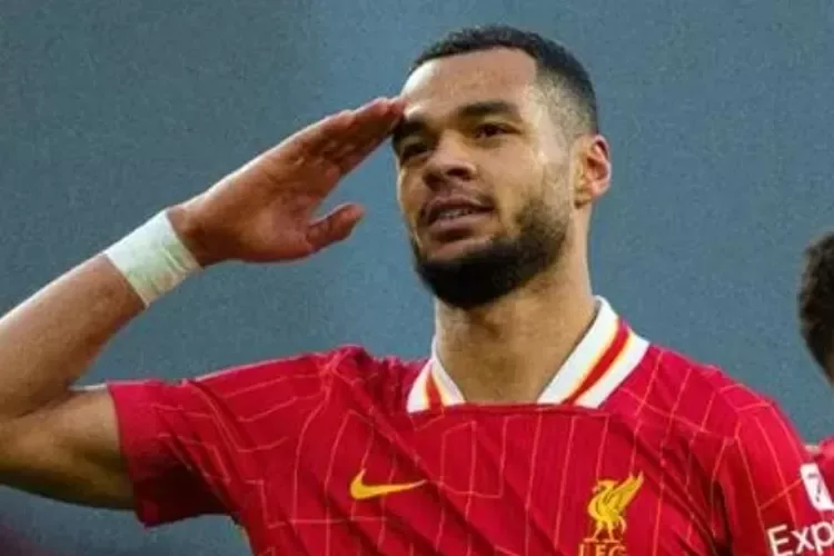 Slot demande à Liverpool de maintenir Gakpo au milieu de l’intérêt du Bayern Munich