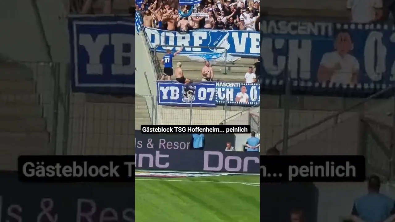 trauriger Gästeblock. #1fcköln #bundesliga #hoffenheim #football #highlights #gästeblock #Fans