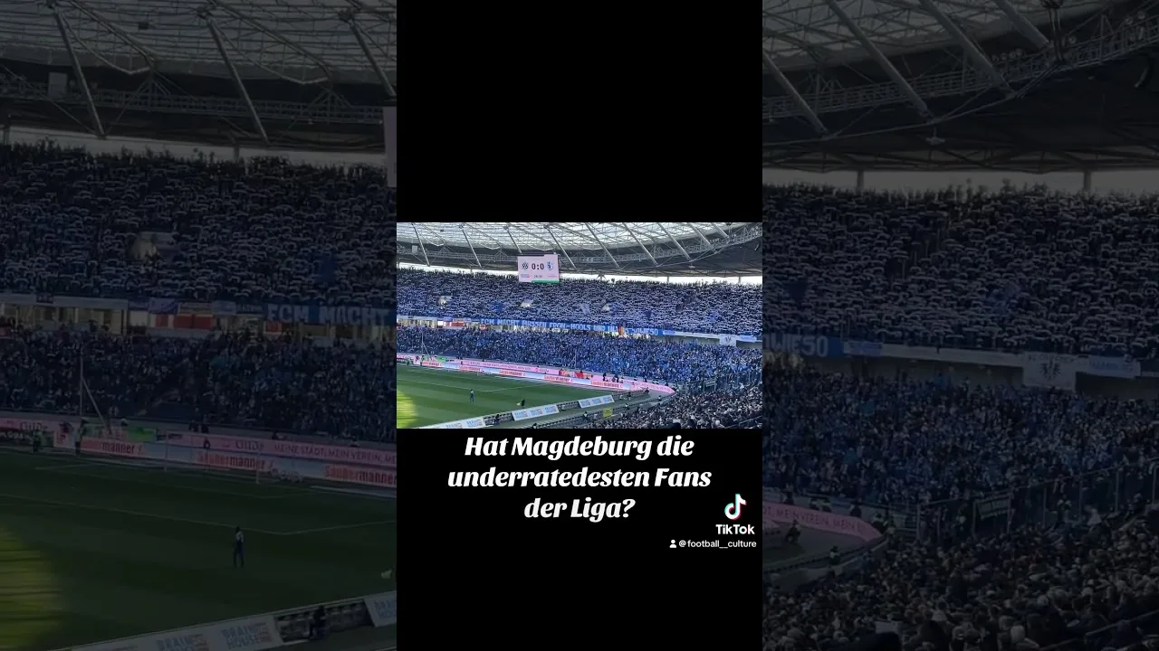 Hat Magdeburg die underratedesten Fans der Ligq? #fcm #magdeburg #ultras #fans #footballshorts