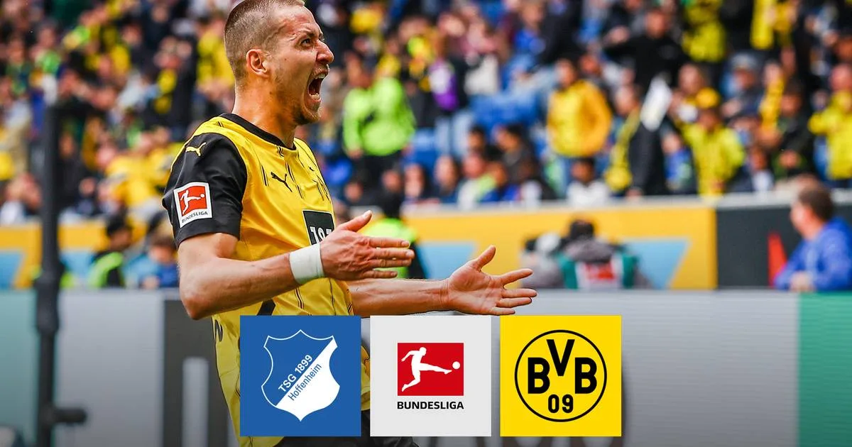 TSG Hoffenheim – Borussia Dortmund (2: 3): Tore & Faits saillants | Bundesliga – Sport1