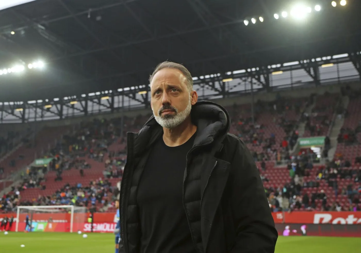 Un deuxième coach viré cette saison en Bundesliga – Allemagne – Hoffenheim