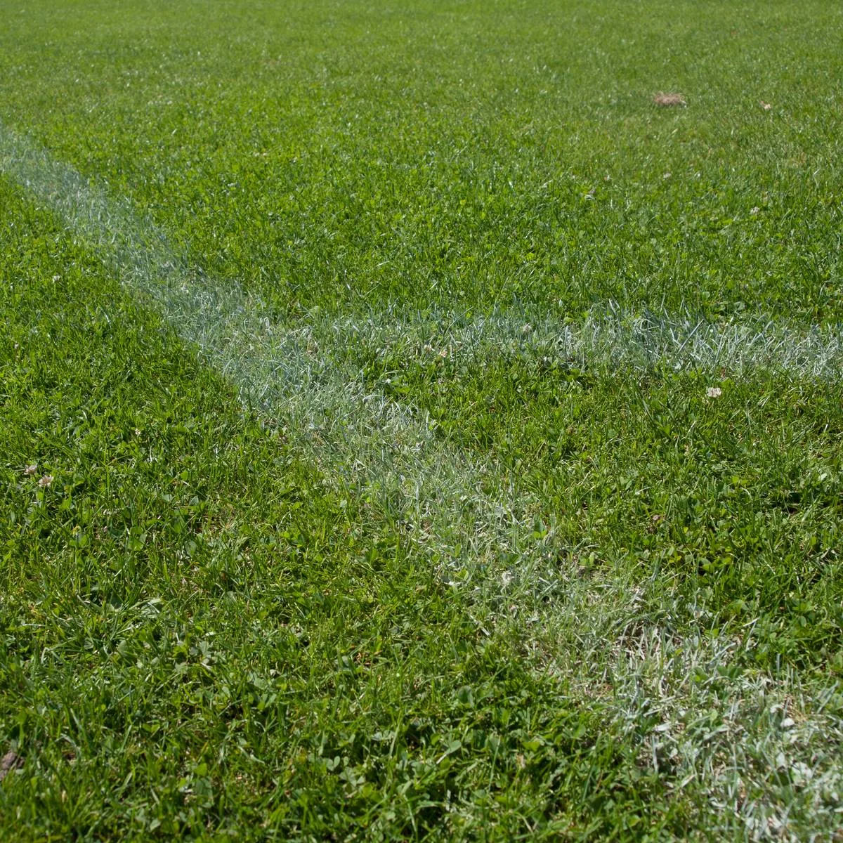 Monheim: Dialogue des citoyens pour le centre de formation Bayer Leverkusen