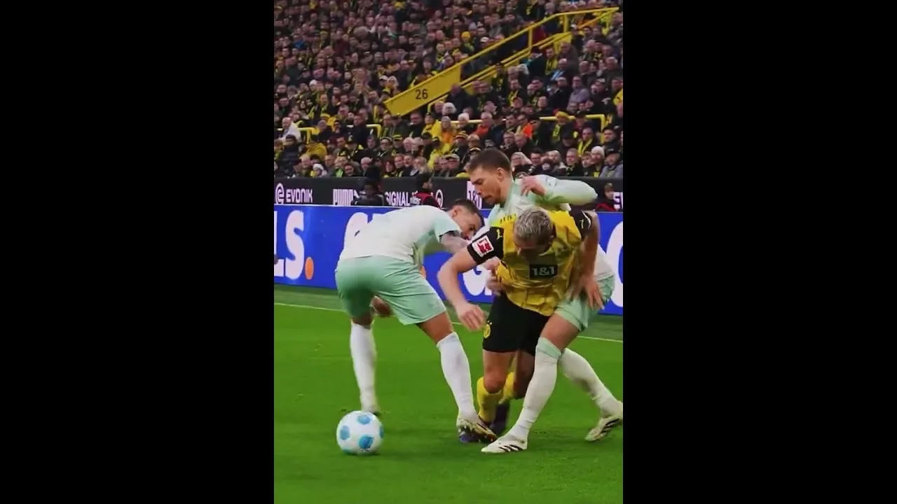 Ein norwegischer Krieger #bvb #bundesliga #borussiadortmund