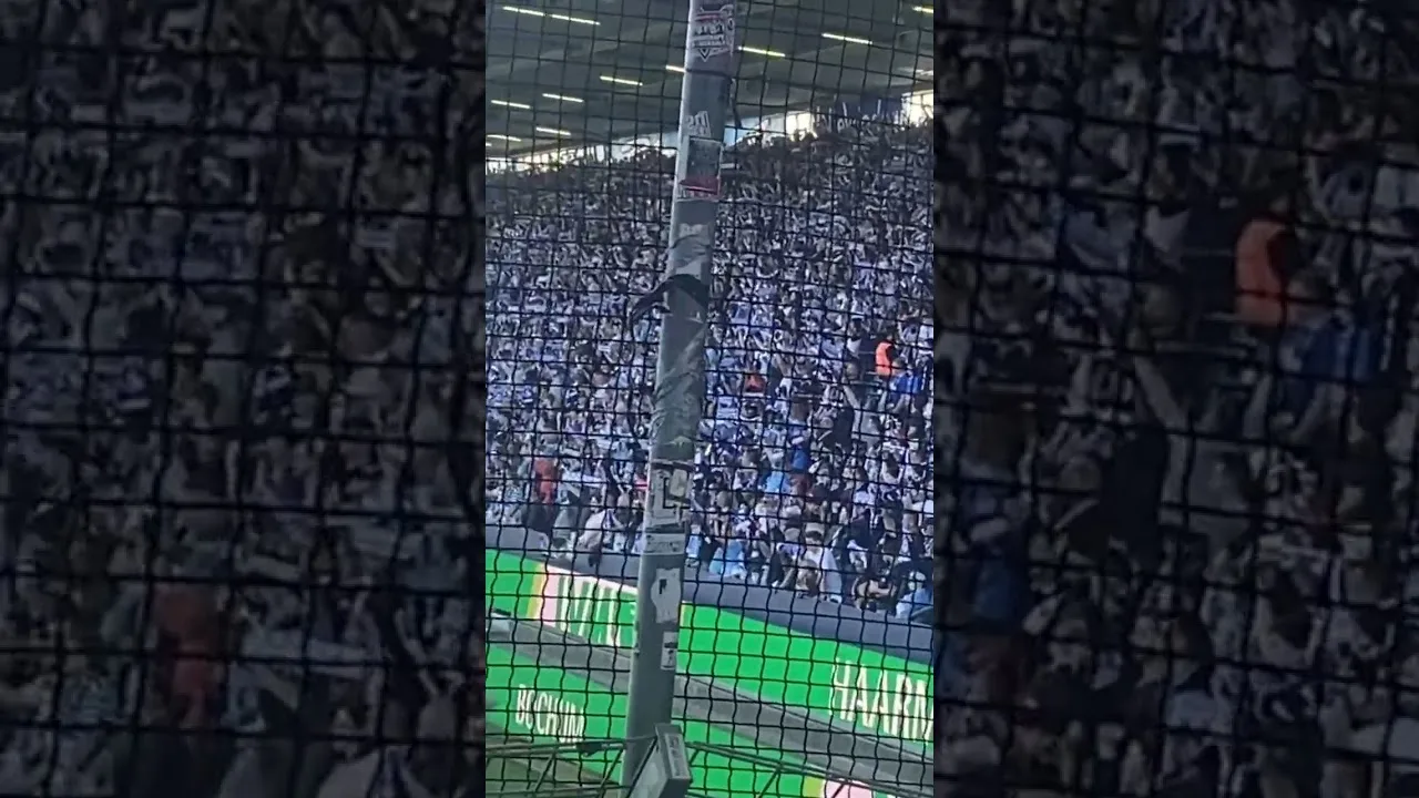 #football #vflbochum #bundesliga #herbertgrönemeyer #fußball #stadion