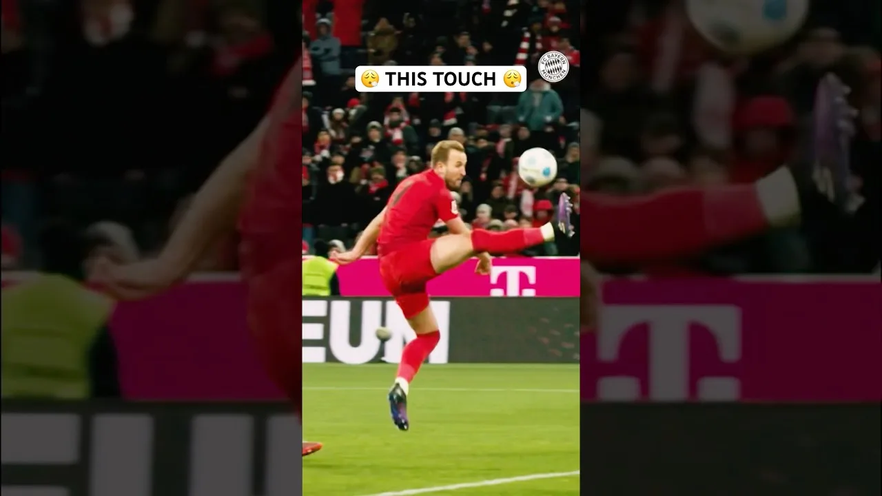 Harry Kane 🤝Logo de la Bundesliga