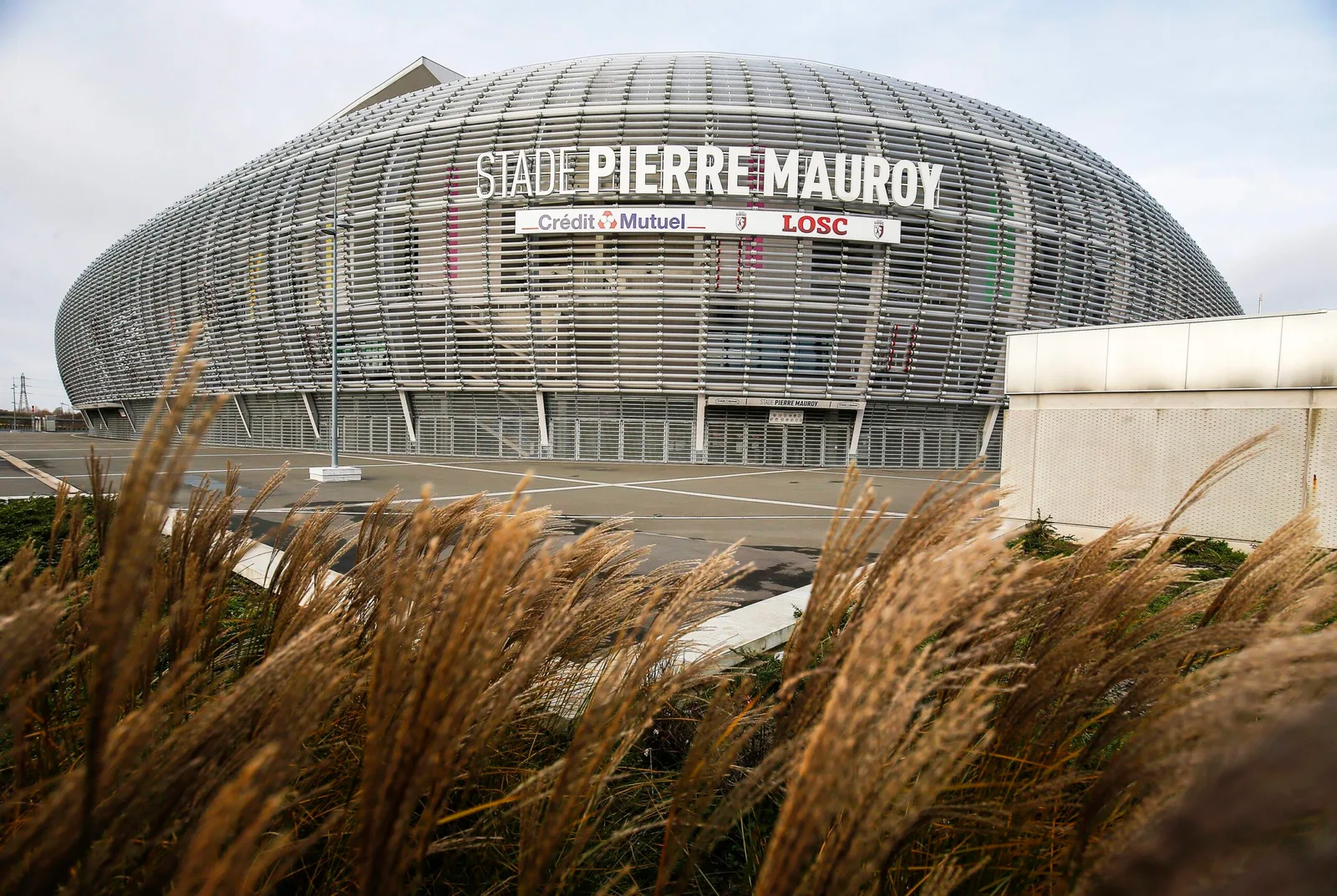 Losc Lille vs Borussia Dortmund: Aperçu et prédiction