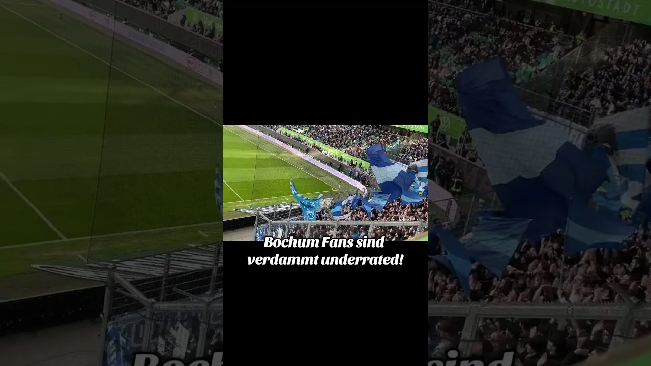 Bochum Fans sind verdammt underrated #ultras #bundesliga #fans #fußball #vfl #vflbochum