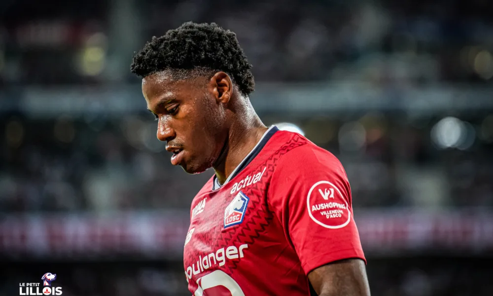 Ligue des Champions – 8e : Les notes des Dogues après LOSC – Borussia Dortmund