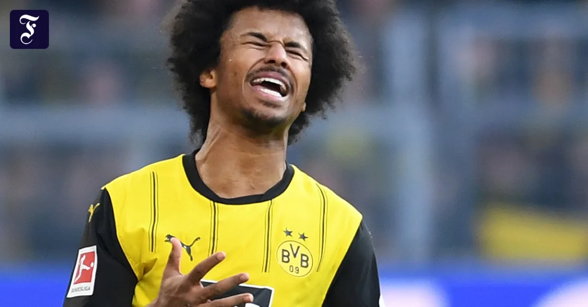 Ce sont les raisons du crash de BVB
