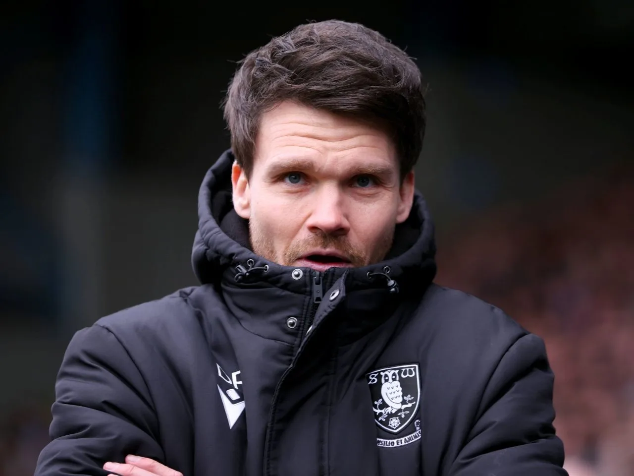 Sheffield mercredi Danny Rohl a été considéré comme un «candidat managérial» par Bundesliga Giants