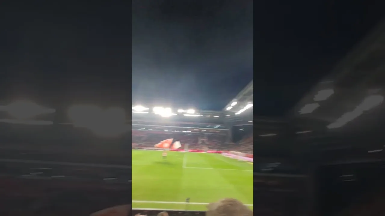 Mainz 05 Borussia Mönchengladbach Choreos🤔 #bundesliga #choreo #mainzer #borussiamönchengladbach
