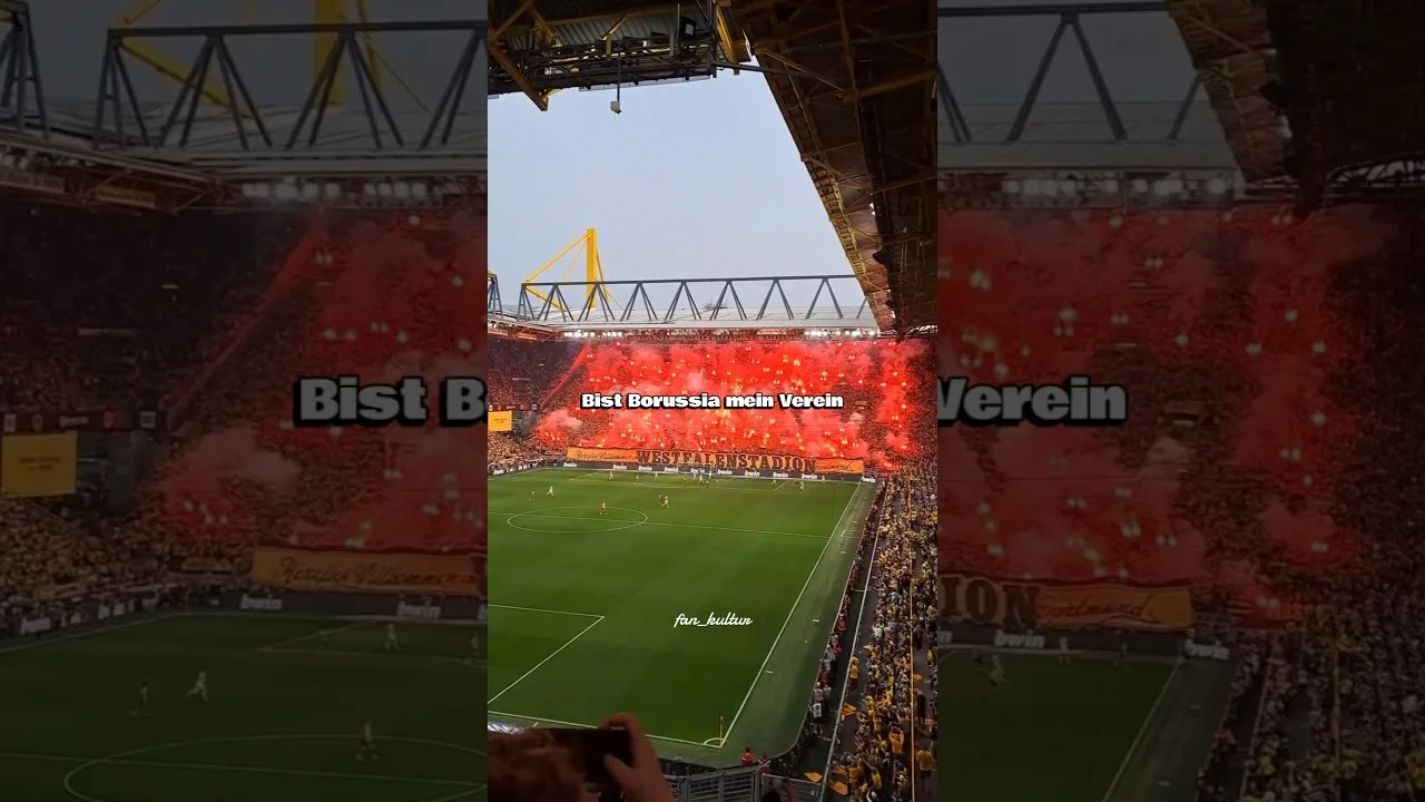 Borussia Dortmund! Nous faisons tout cela rien que pour vous ! Modification du chant des fans avec texte ! ⚫🟡 #borussiadortmund