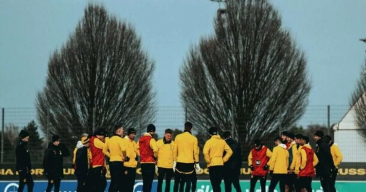 où regarder, compositions et arbitrage
