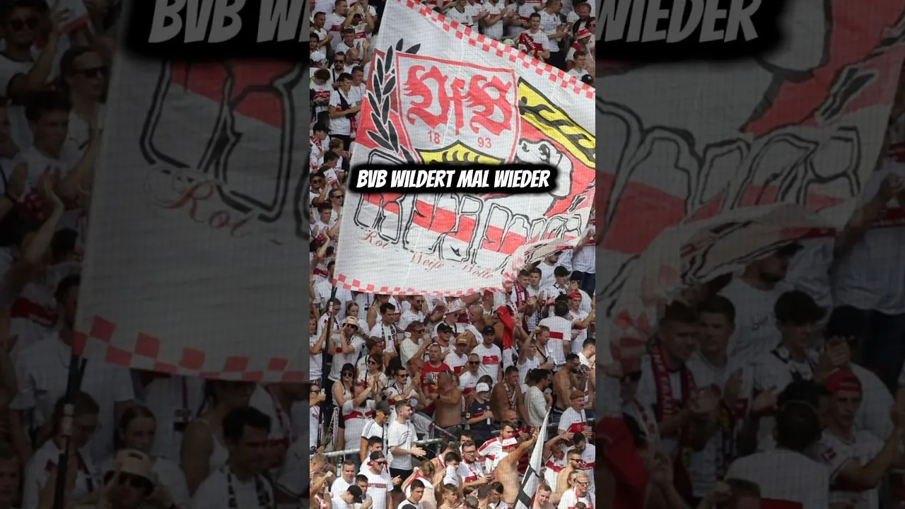BVB hat mal wieder nen VfB Star im Visier 🔥 #bundesliga #vfb #bvb #millot