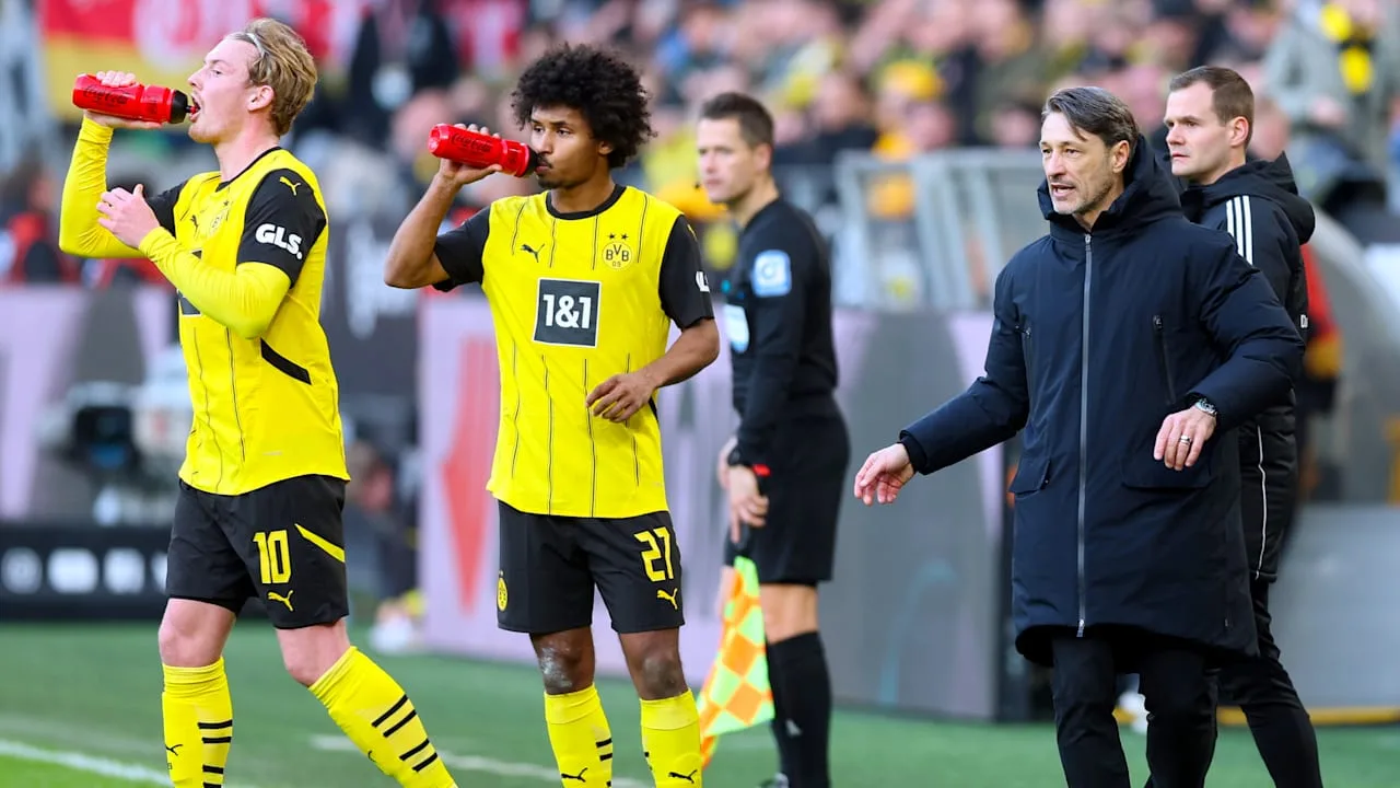 Borussia Dortmund: La vérité sur le mélangeur BVB | sport