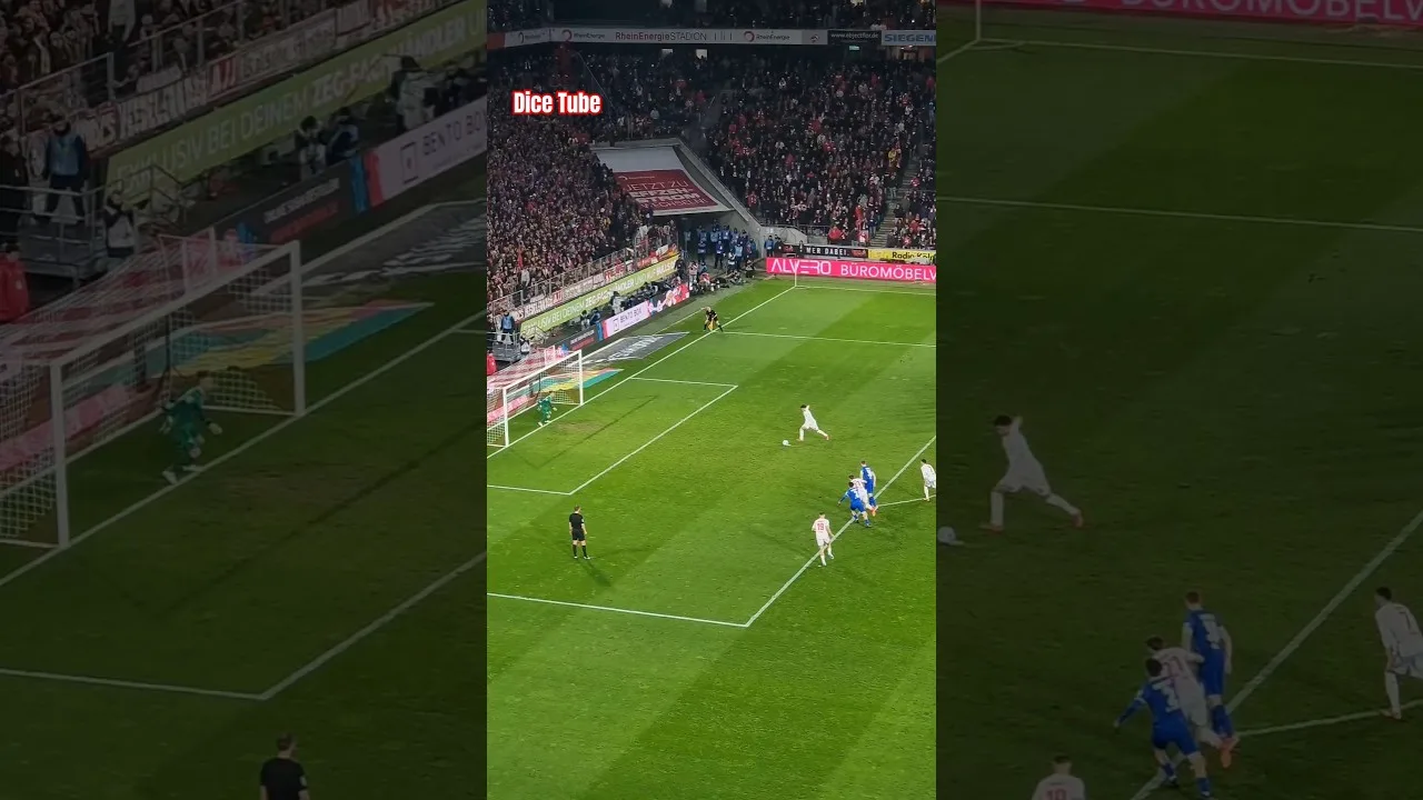 Waldschmidt zum 2:1 für den 1.FC Köln gegen Darmstadt! #bundesliga #effzeh #2bundesliga #Highlights