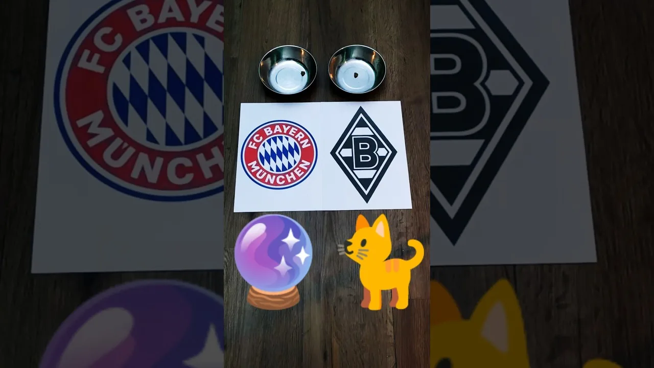 ⚽️😺 Oracle Cat prédit le Bayern contre Gladbach 3: 0 #Bundesliga #oraclecat