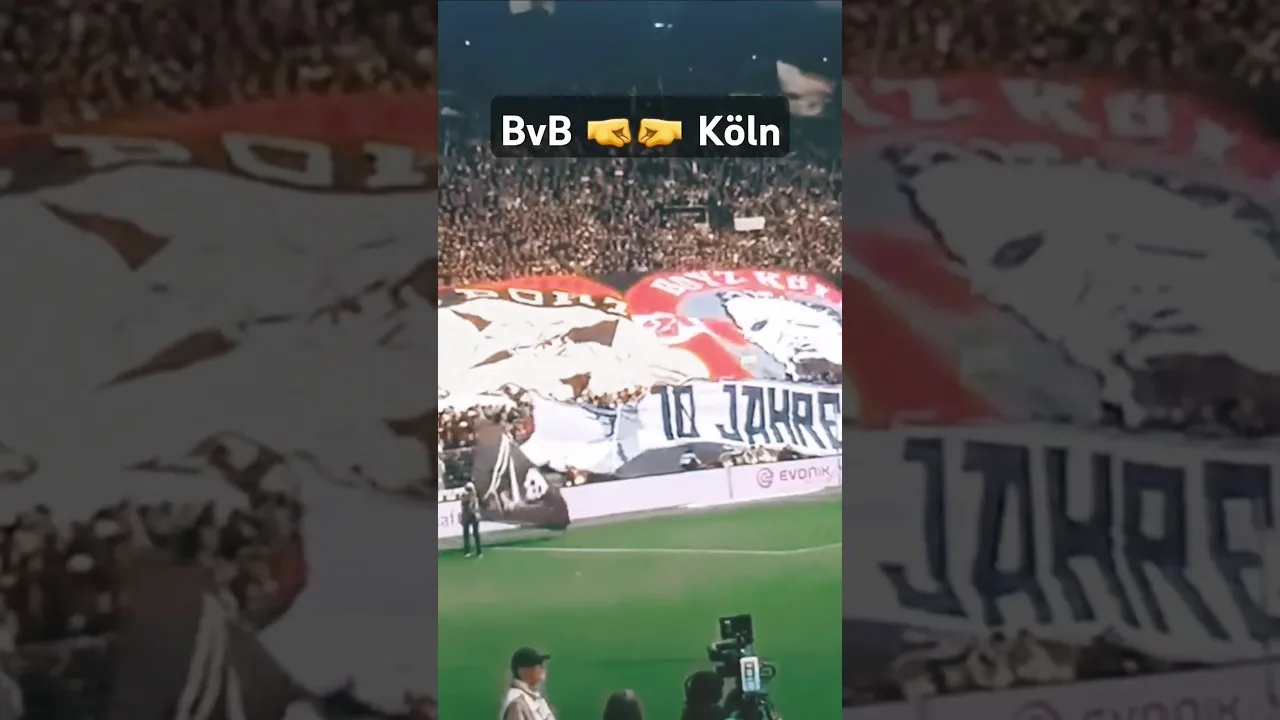 BVB et Cologne 💪 #friendship #cologne #dortmund # fcköln #bvb #bundesliga #german #foryou #ultras