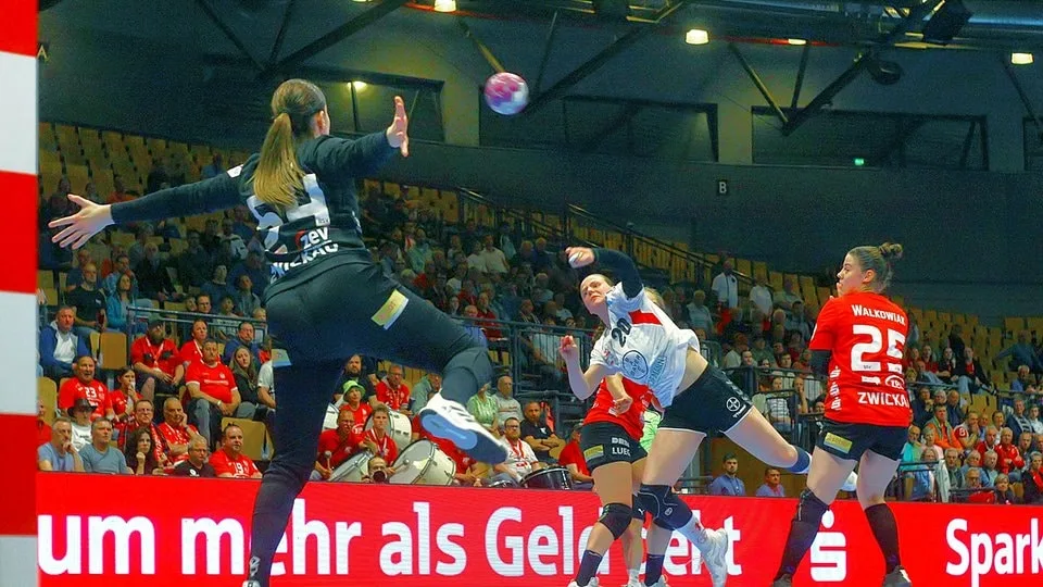 Saxe Zwickau remporte le point de vue du jeu contre Bayer Leverkusen