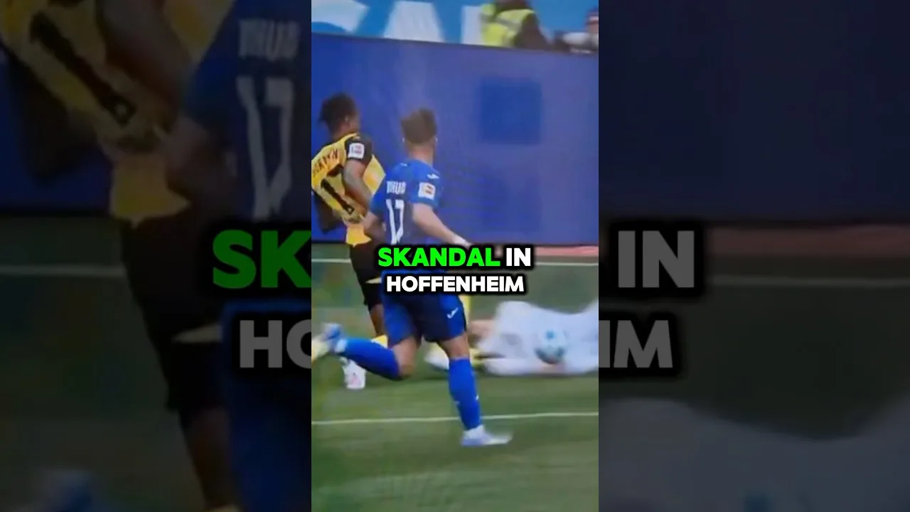 SKANDA!! BVB IM GLÜCK 🔥👀 #bvb #hoffenheim #baumann #dfb #Bundesliga #hoffenheimbvb