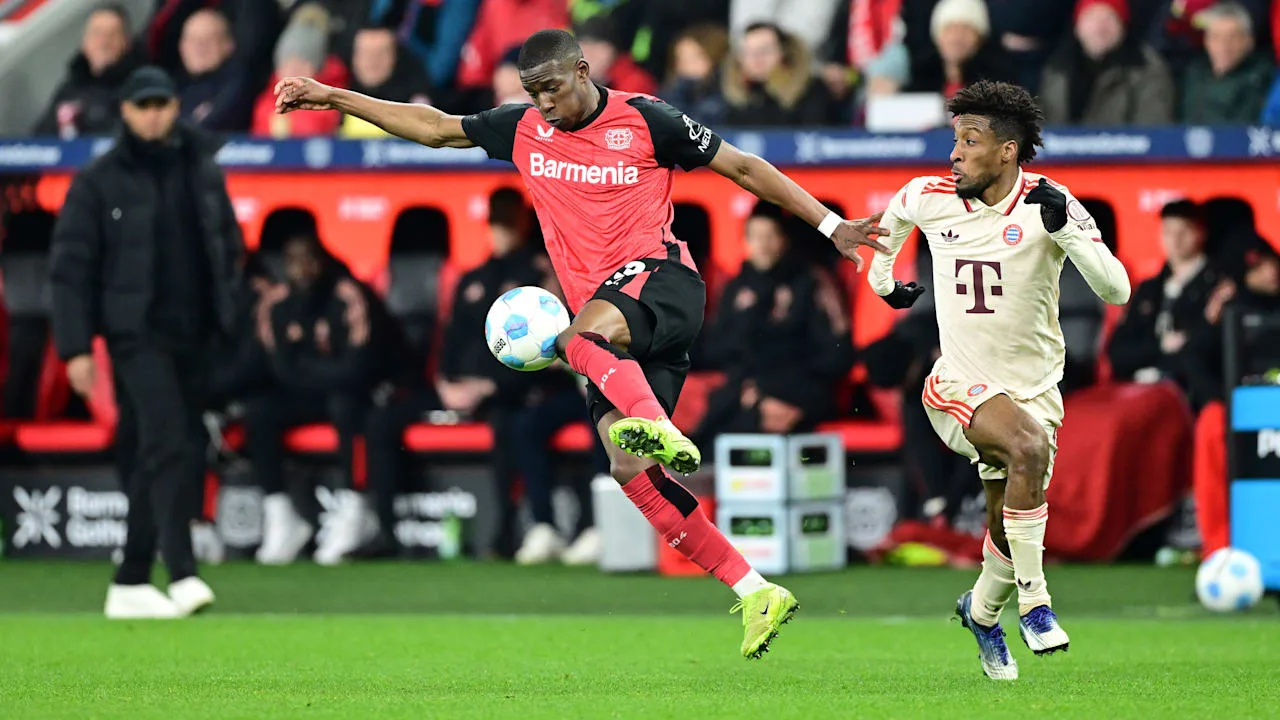 Bayer Leverkusen: le prêt PSG est de plus en plus important: Plant Bayer 04 Achat de Mukiele? | sport