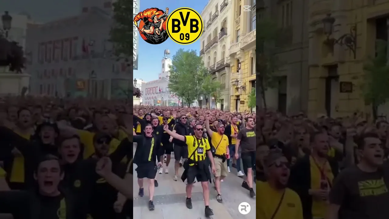 BVB Dortmund Ultras  #ultras #bundesliga #soccer #dortmund  #dynamodresden #football #cr7 #derby