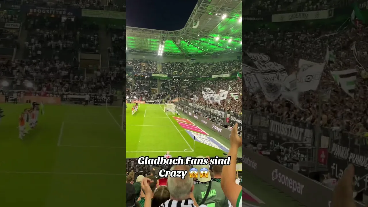 Gladbach Fans sind Crazy #ultras #bundesliga #football #fußball #vfl #bmg #borussia