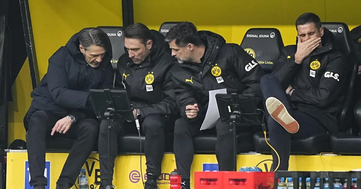 Allemagne Soccer Bundesliga | Sports nationaux | bdtonline.com