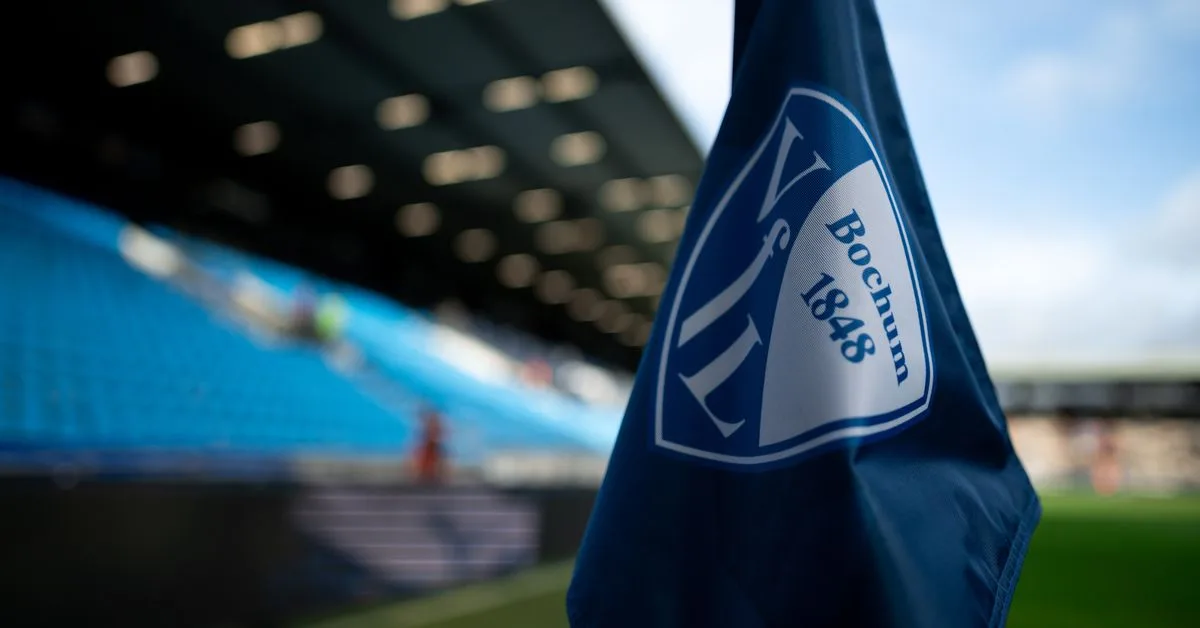 Bayern Munich contre VFL Bochum: 2024/25 Bundesliga Couverture complète