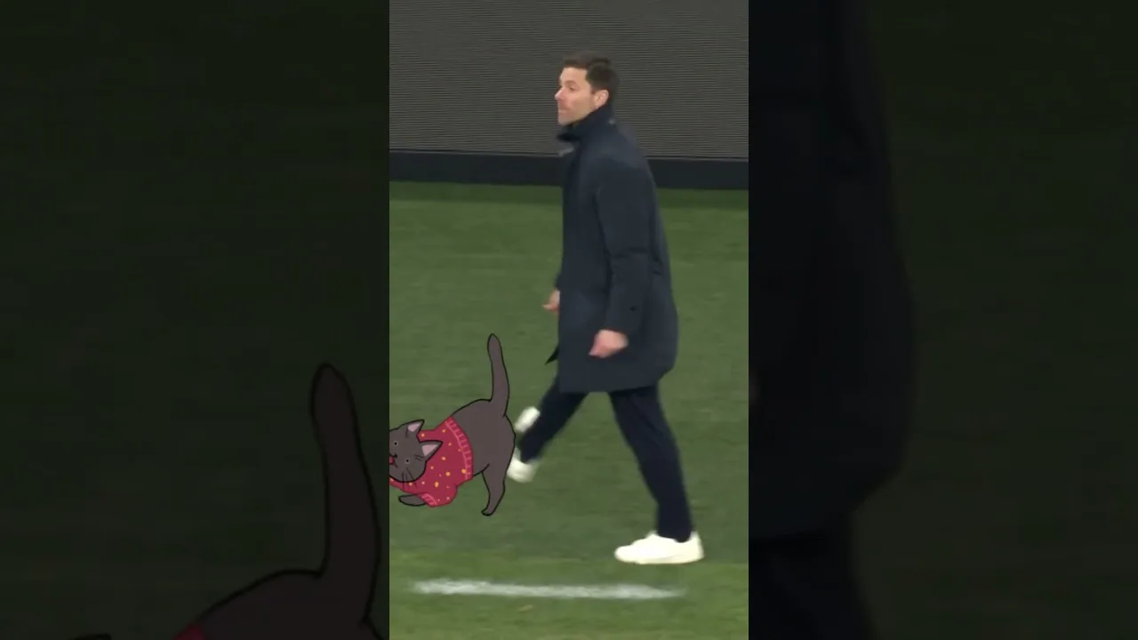 Xabi Alonso reaction #leverkusen #bundesliga #football