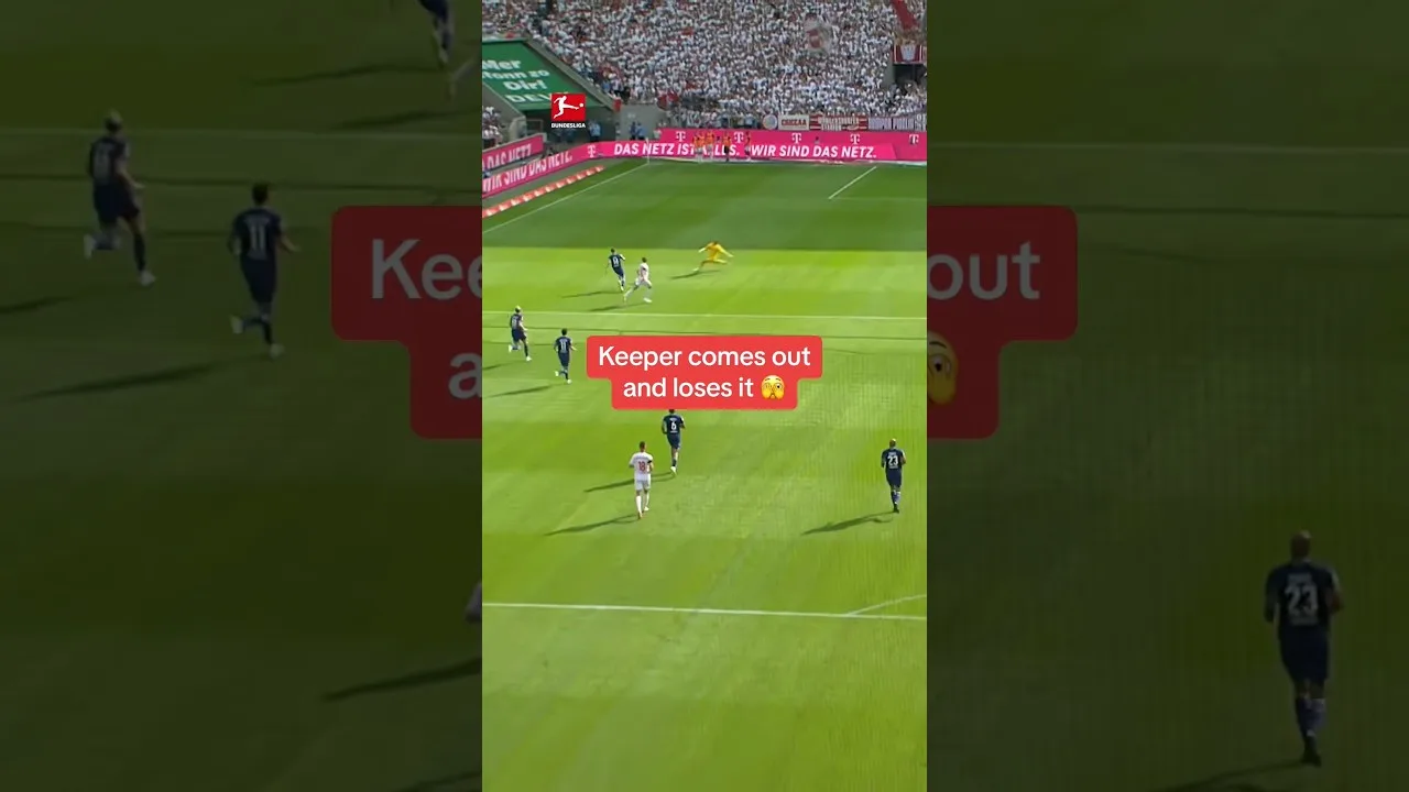 But de Florian Grillitsch au milieu de terrain 😱😜🔥 #football #soccer #skills #goals #bundesliga #fussball #fußball