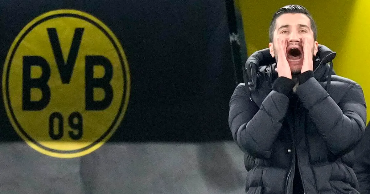 Allemagne Football Bundesliga | Sportif