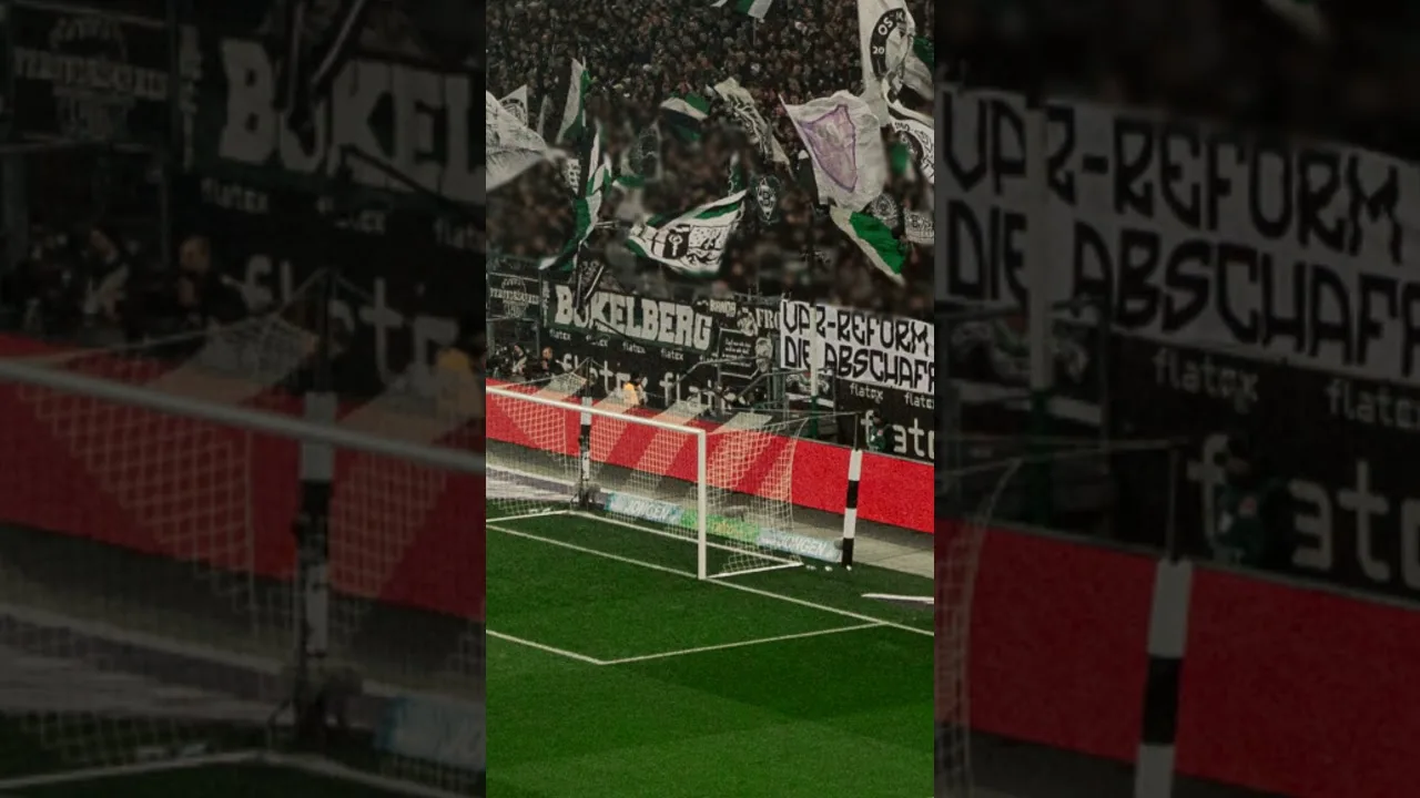 Gladbach Ultras mit ANSAGE gegen den DFB  #bundesliga #ultras #fußball #vfl #bmg #borussia