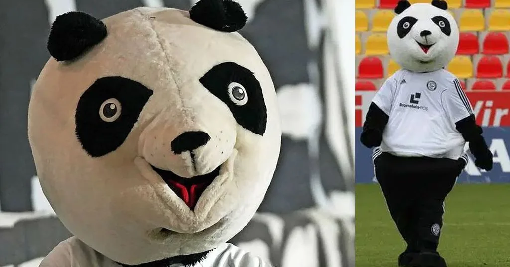 Bundesliga Mascot: Sensational Elversberg-Panda pourrait terminer Ran Ranking …