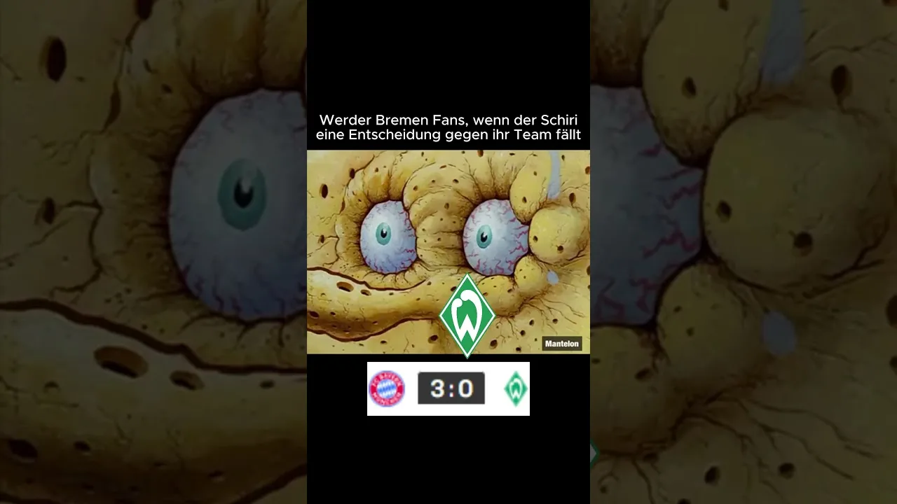 War das ein Elfmeter? #fussball #meme #bundesliga #bayernmünchen #werderbremen