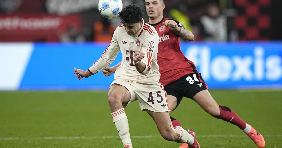 Allemagne Soccer Bundesliga | Sports nationaux | bdtonline.com