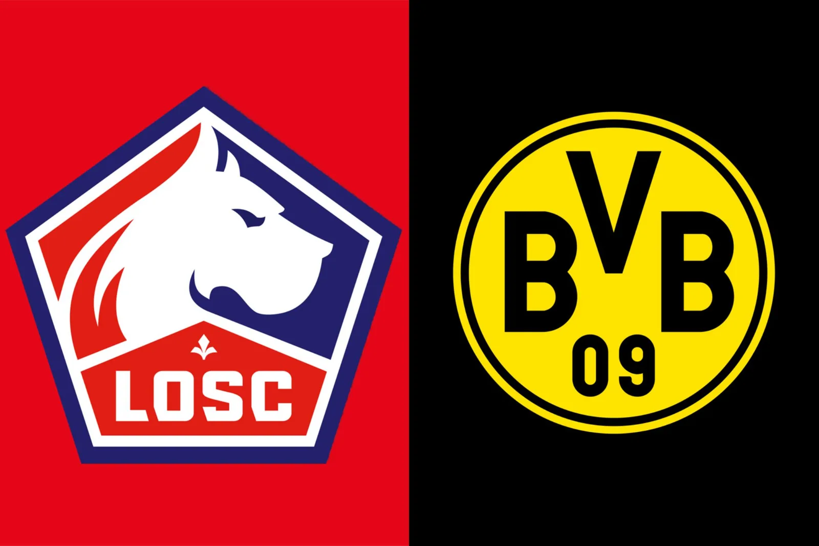 LOSC ou Borussia Dortmund. Qui va se qualifier selon les bookmakers