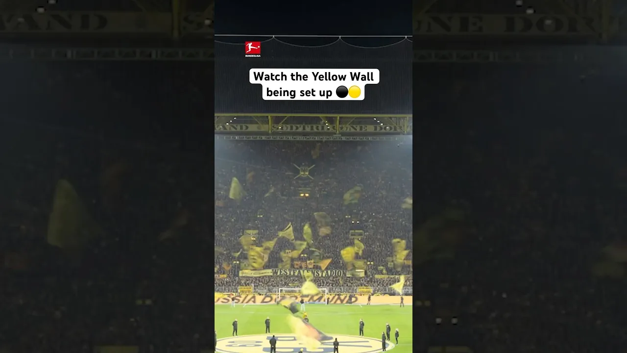 Le Mur Jaune est vraiment UNIQUE 🤩