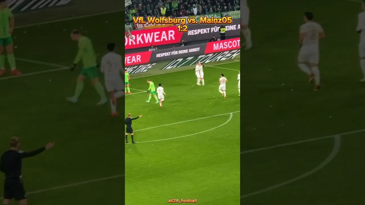 Vfl Wolfsburg vs. Mainz05 1:2 #fsv #fsvmainz05 #vflwolfsburg #bundesliga #fsvmainz05