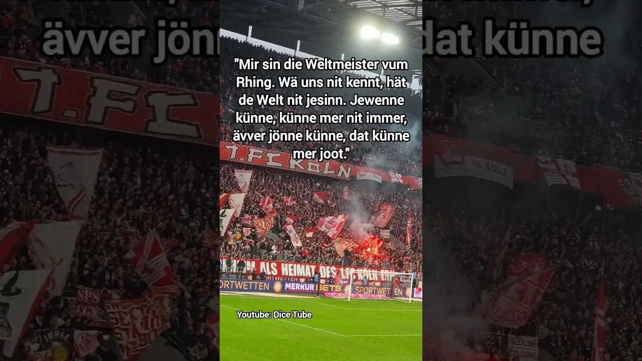 Die Fans des 1.FC Köln gegen Nürnberg #fussball #bundesliga #effzeh #lemperle #1fcn #pyro #football