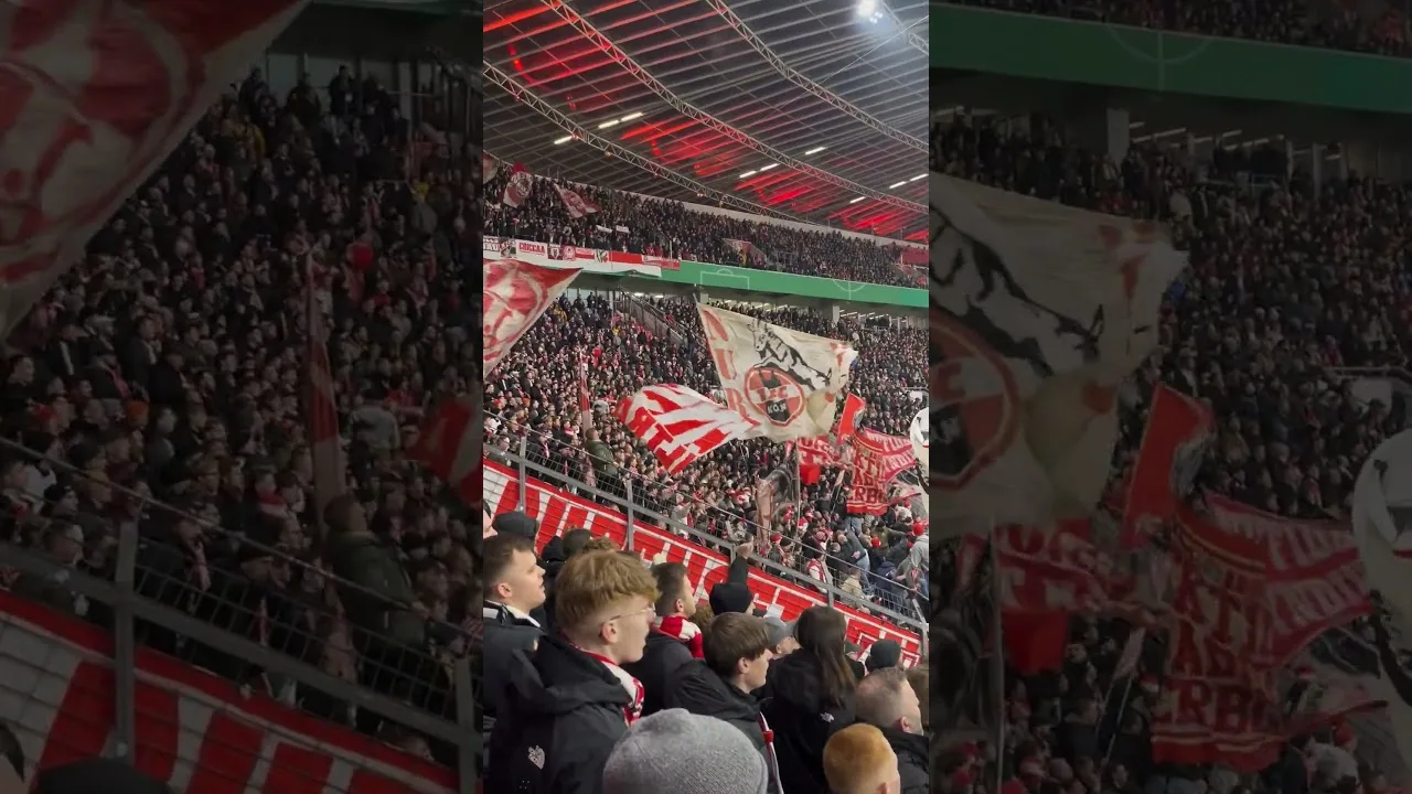 Nur für die Farben in Rot und in Weiß 🔴⚪️ #bundesliga #effzeh #fussball #ultras