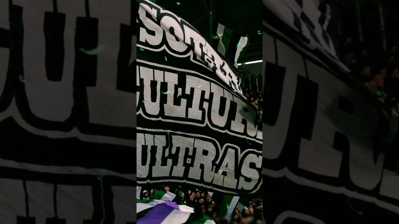 Gladbach jagt Köln in die eigene Kurve  #ultras #bundesliga #fußball #derby #vfl #bmg #fcköln